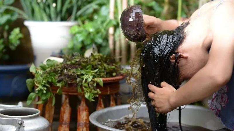 Nguồn gốc dầu gội từ thảo dược thiên nhiên