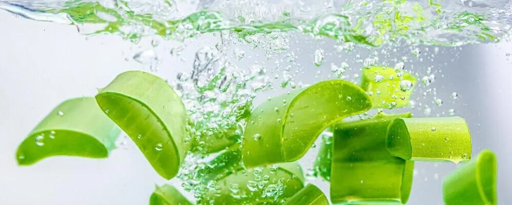 nha đam dưỡng da toàn diện các công dụng