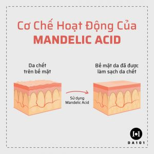 Cách Hoạt Động Của Mandelic Acid