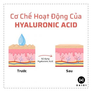 Cơ chế hoạt động của Hyaluronic Acid