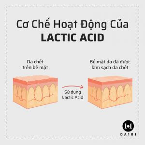 Cơ chế hoạt động của Lactic Acid