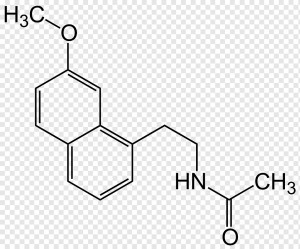 Melatonin là gì? Thành phần chống oxy hóa đáng chú ý