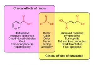 Niacin trong các sản phẩm mỹ phẩm