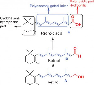 Tác dụng của Retinoids