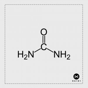 Urea là gì? Hoạt chất làm dịu da, phục hồi hiệu quả