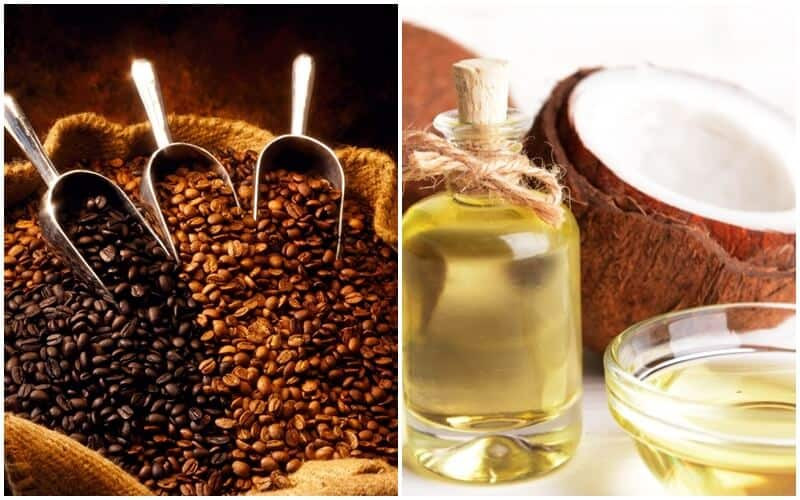 Cà phê và dầu dừa tẩy tế bào chết