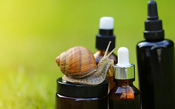 Thành phần Serum của nhà Narguerite