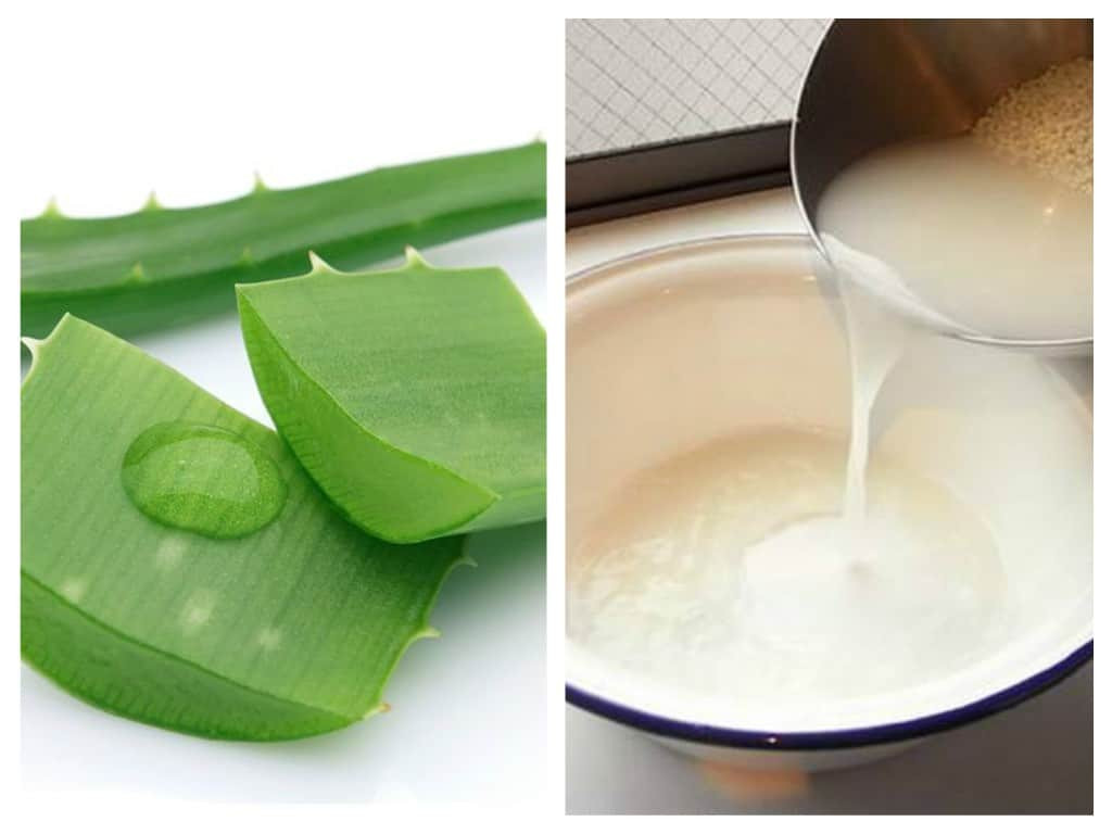 Trị mụn cám bằng nước vo gạo