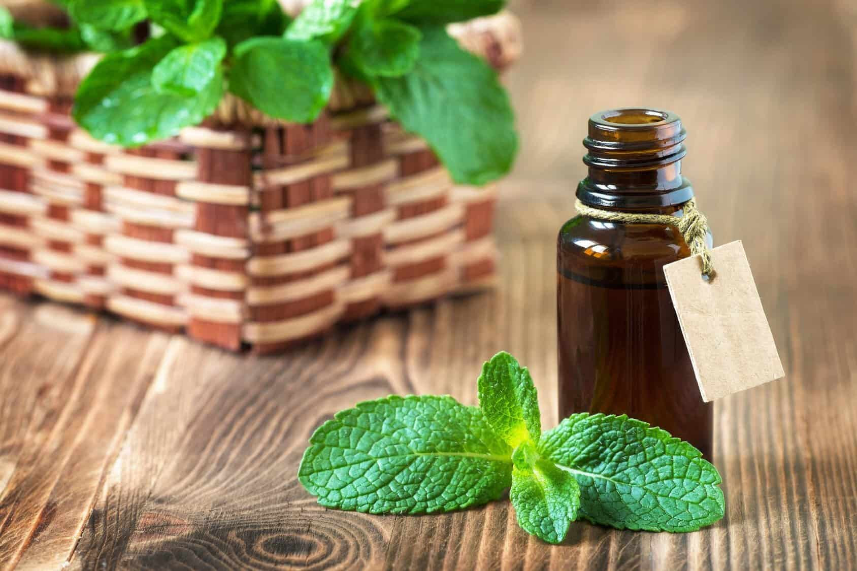 Xông mặt trị mụn ẩn bằng tinh dầu tràm trà