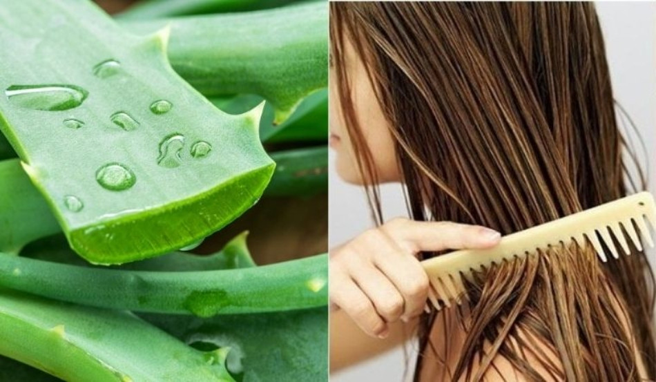 10 Cách Trị Dứt Điểm Tóc Bết Hiệu Quả Cho Mái Tóc Khỏe Đẹp