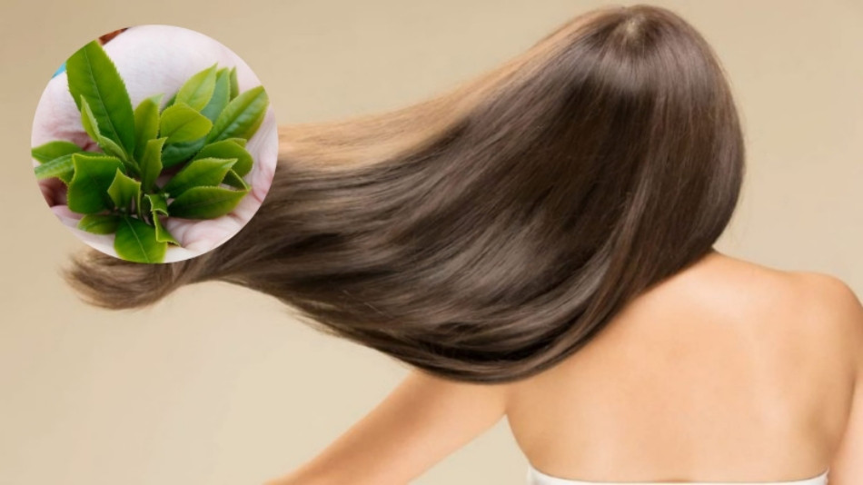 10 Cách Trị Dứt Điểm Tóc Bết Hiệu Quả Cho Mái Tóc Khỏe Đẹp