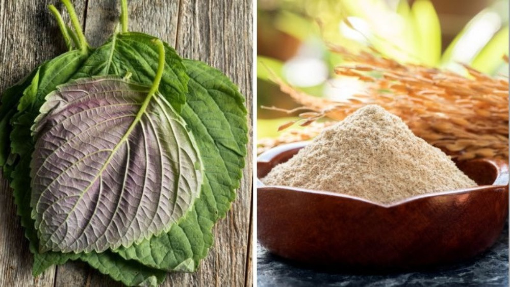 11 Cách Chăm Sóc Da Bằng Lá Tía Tô Tại Nhà