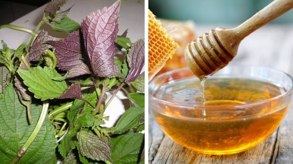 11 Cách Chăm Sóc Da Bằng Lá Tía Tô Tại Nhà