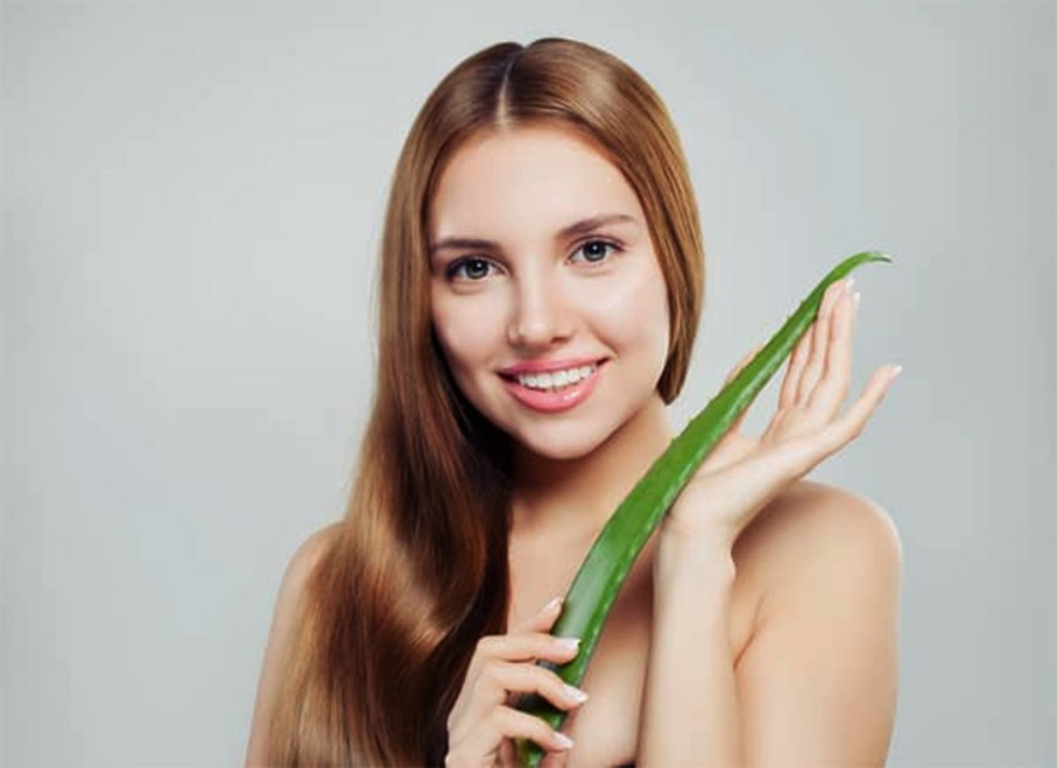11 cách chăm sóc tóc bằng nha đam giúp tóc suôn mượt, bồng bềnh 