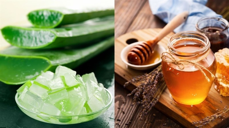 11 cách chăm sóc tóc bằng nha đam giúp tóc suôn mượt, bồng bềnh 