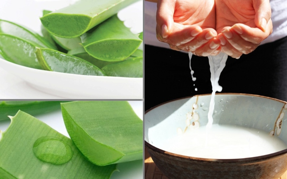 11 cách chăm sóc tóc bằng nha đam giúp tóc suôn mượt, bồng bềnh 