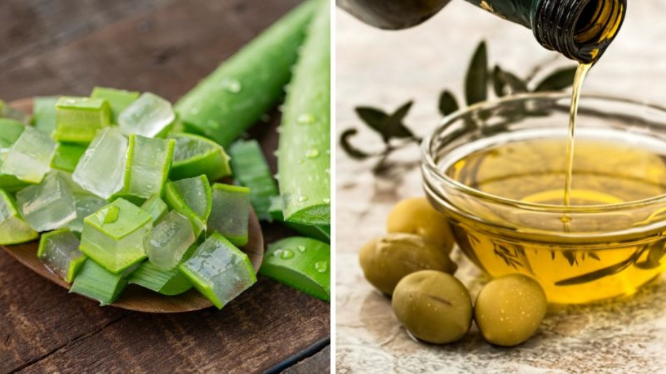11 cách chăm sóc tóc bằng nha đam giúp tóc suôn mượt, bồng bềnh 