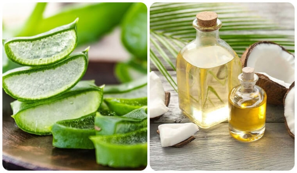 11 cách chăm sóc tóc bằng nha đam giúp tóc suôn mượt, bồng bềnh 