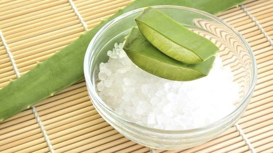 11 cách chăm sóc tóc bằng nha đam giúp tóc suôn mượt, bồng bềnh 