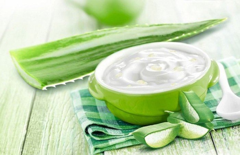 11 cách chăm sóc tóc bằng nha đam giúp tóc suôn mượt, bồng bềnh 