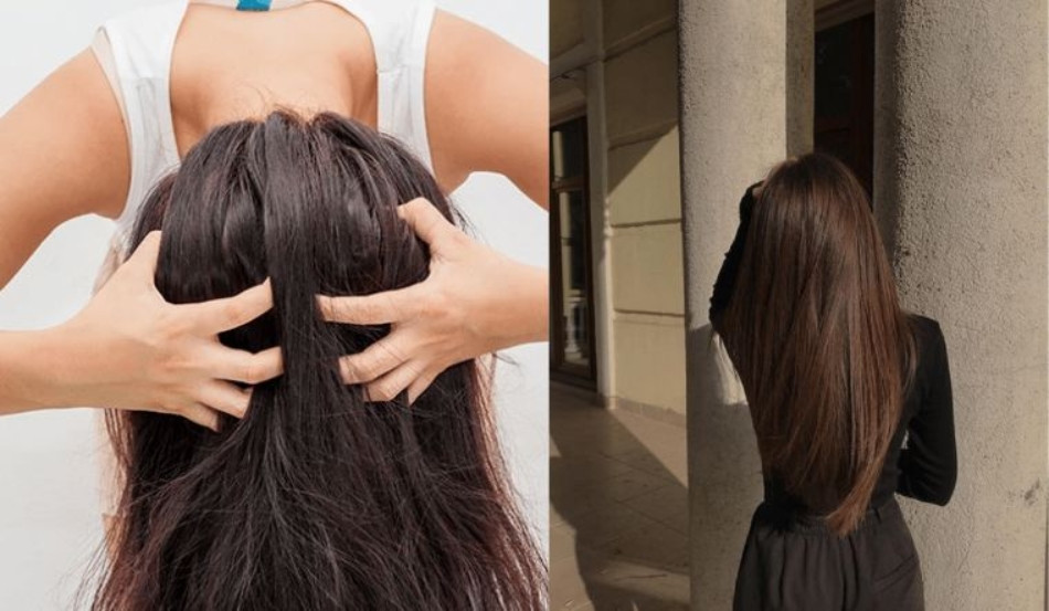 12 Sản phẩm dầu gội giúp tóc dài nhanh và hiệu quả nhất hiện nay