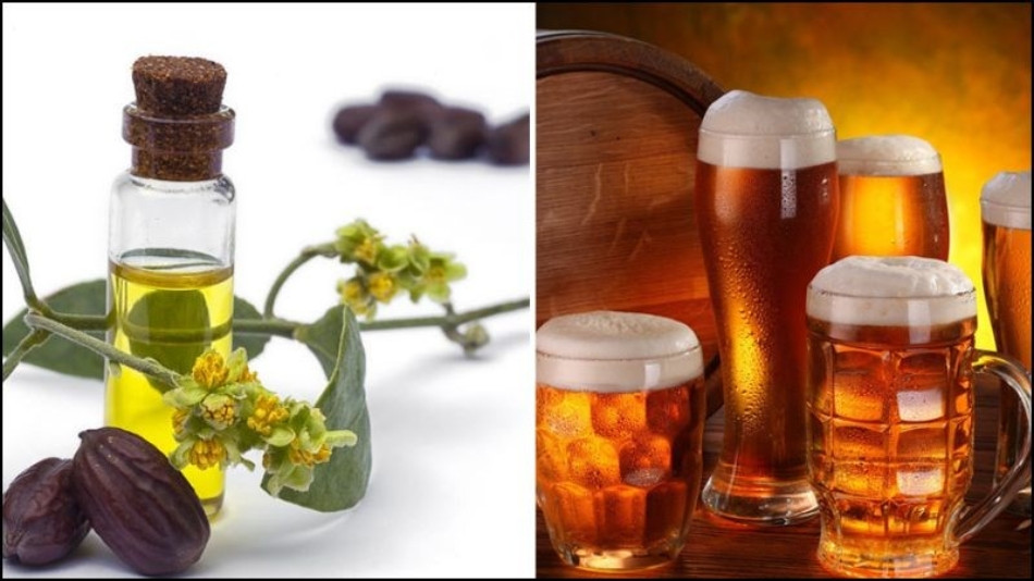 13 Cách Trị Gàu Bằng Bia Hiệu Quả Tại Nhà