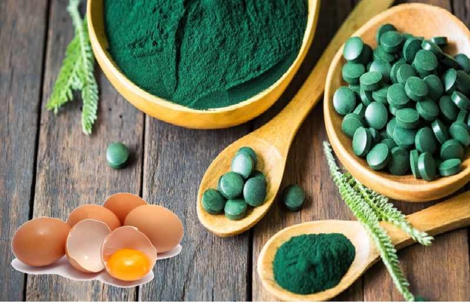14 cách làm mặt nạ tảo xoắn trị nám tại nhà đơn giản và hiệu quả