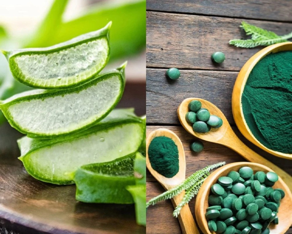 14 cách làm mặt nạ tảo xoắn trị nám tại nhà đơn giản và hiệu quả