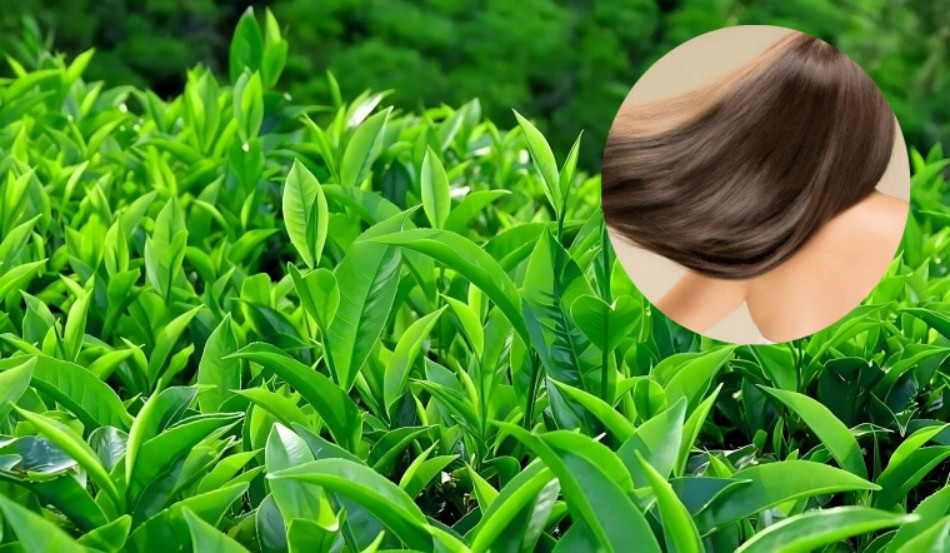15 Cách Gội Đầu Làm Tóc Bồng Bềnh Mềm Mại Ngày Dài