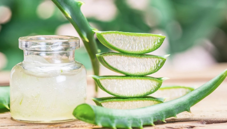 15+ Cách Làm Đẹp Từ Nha Đam An Toàn và Hiệu Quả