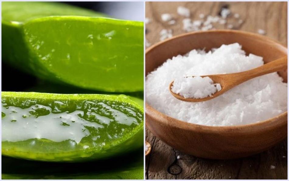15+ Cách Làm Đẹp Từ Nha Đam An Toàn và Hiệu Quả