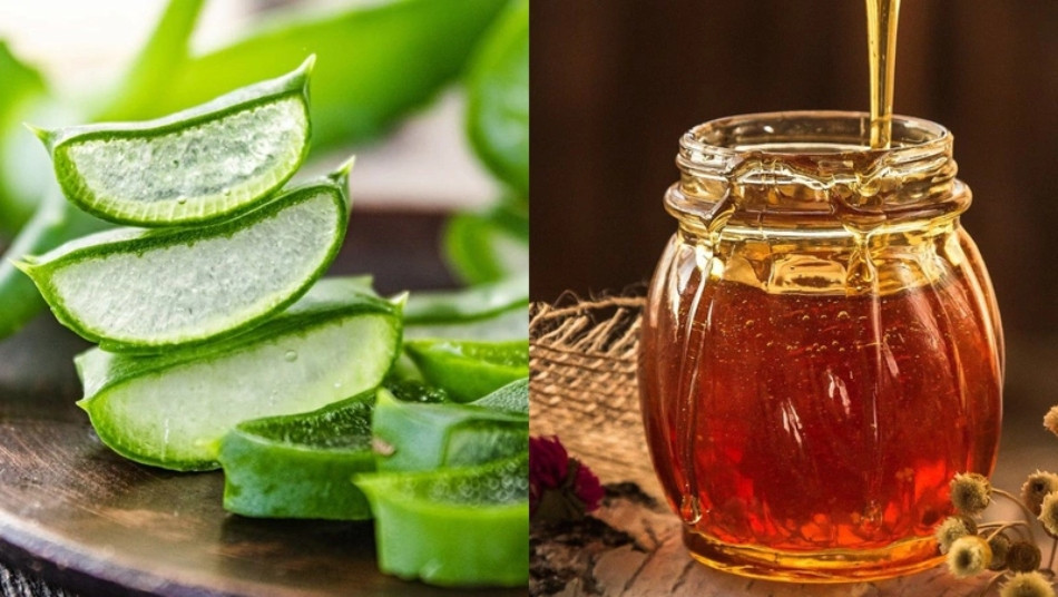 15+ Cách Làm Đẹp Từ Nha Đam An Toàn và Hiệu Quả