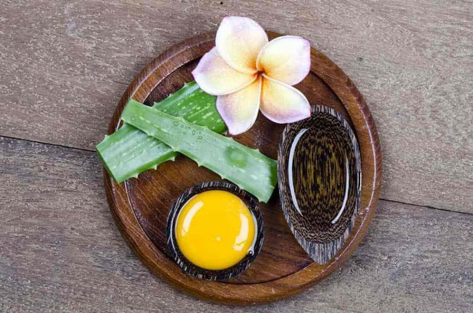 15+ Cách Làm Đẹp Từ Nha Đam An Toàn và Hiệu Quả