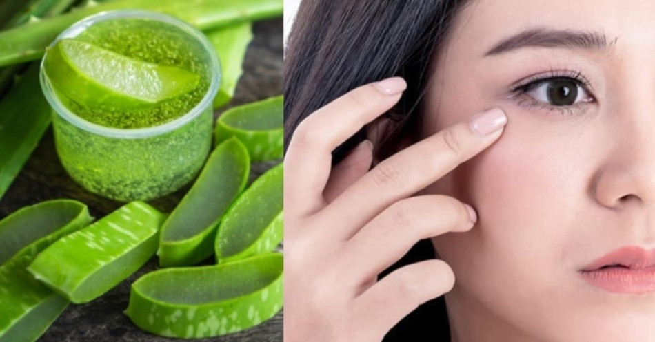 15+ Cách Làm Đẹp Từ Nha Đam An Toàn và Hiệu Quả