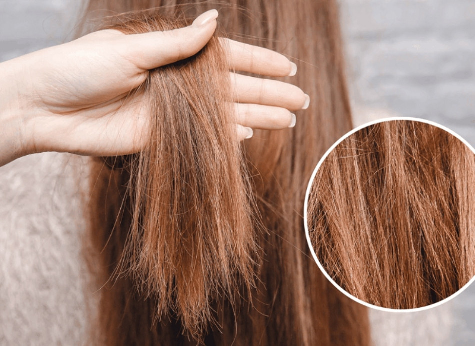 17 Cách Chăm Sóc Tóc Hư Tổn Hiệu Quả Để Phục Hồi Tóc Khỏe Mạnh
