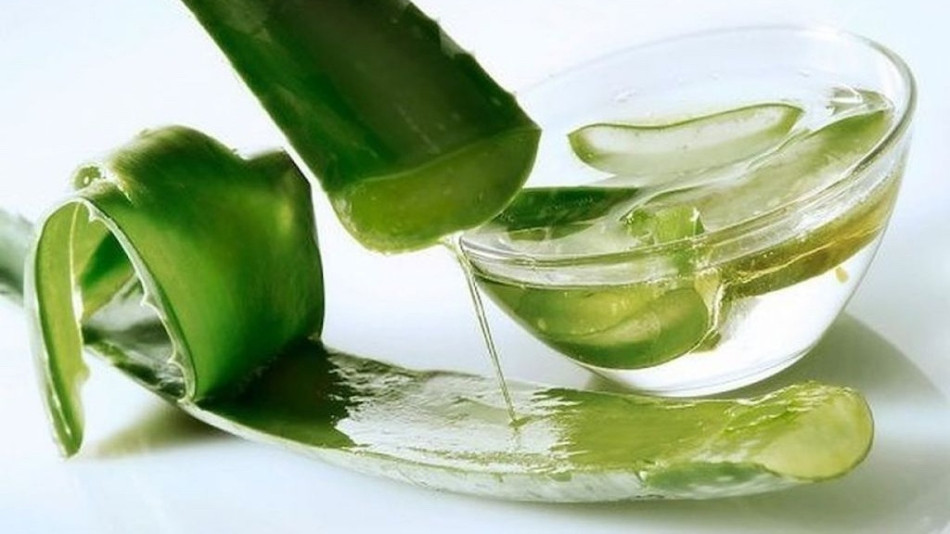 17 Cách Chăm Sóc Tóc Hư Tổn Hiệu Quả Để Phục Hồi Tóc Khỏe Mạnh
