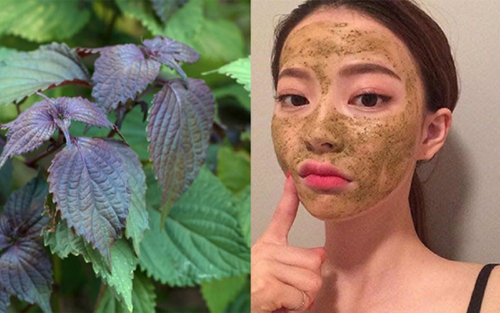 17+ Cách Làm Trắng Da Mặt Bị Sạm Đen Từ Thiên Nhiên Đơn Giản