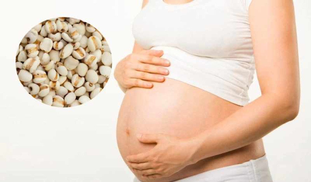 7 Tác Dụng Của Hạt Ý DĨ Trong Làm Đẹp
