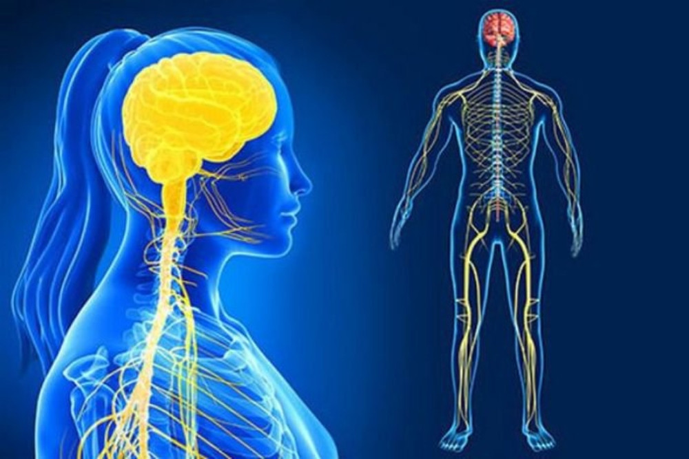 Gạo lứt tím than &#8211; Siêu thực phẩm cho sức khỏe