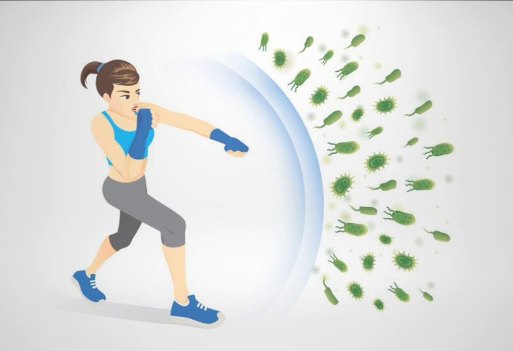 Gạo lứt tím than &#8211; Siêu thực phẩm cho sức khỏe