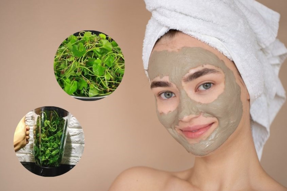 Khám Phá 10 Công Dụng Của Rau Má Trong Làm Đẹp