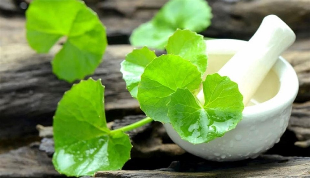 Khám Phá 10 Công Dụng Của Rau Má Trong Làm Đẹp