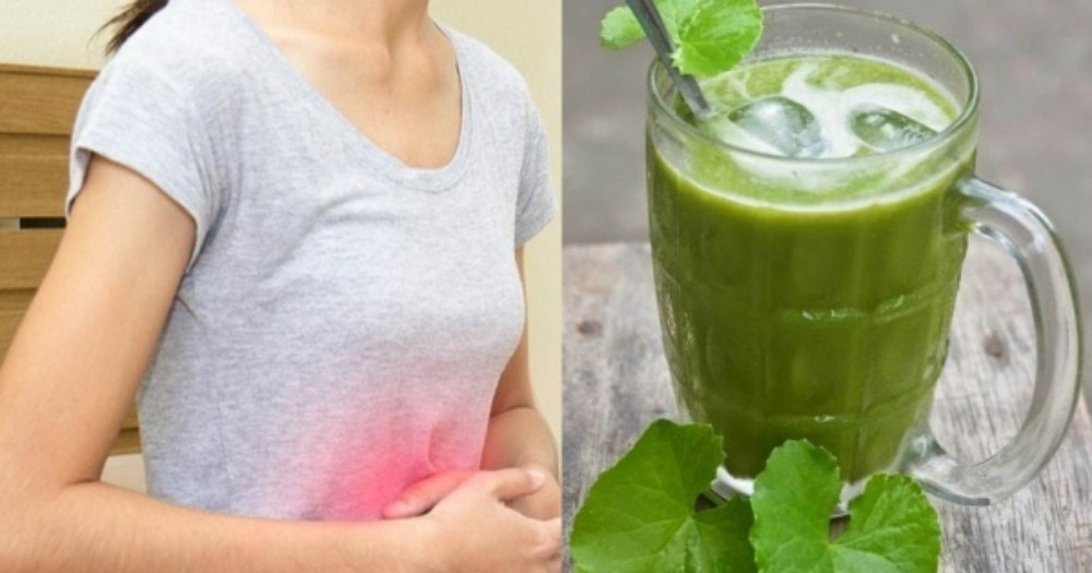 Khám Phá 10 Công Dụng Của Rau Má Trong Làm Đẹp