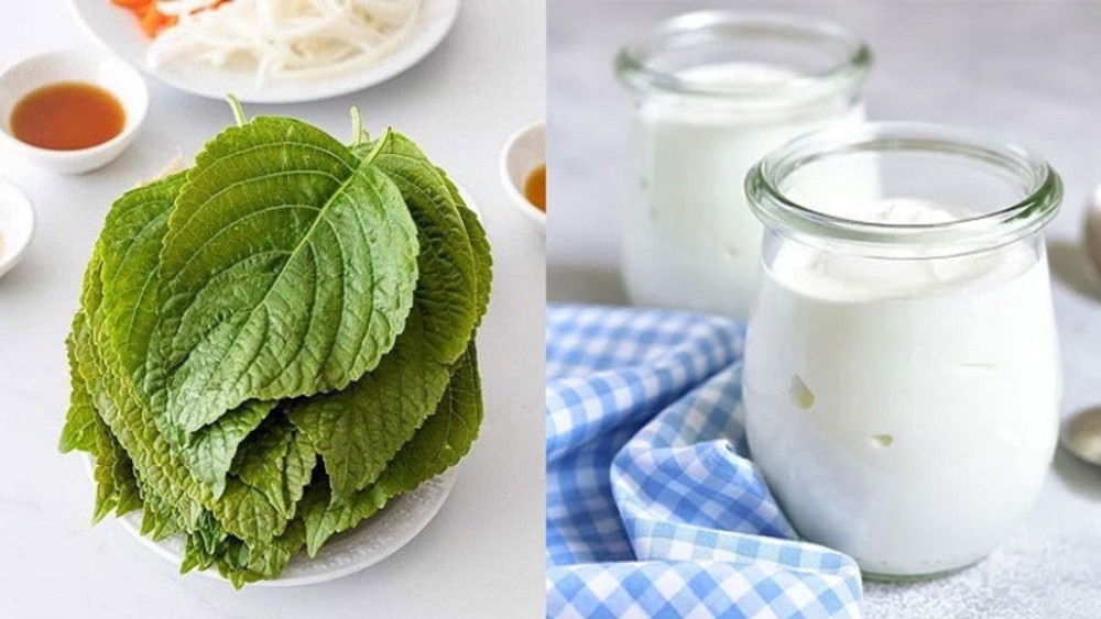 Khám Phá 11 Cách Làm Trắng Da Từ Lá Tía Tô An Toàn và Hiệu Quả