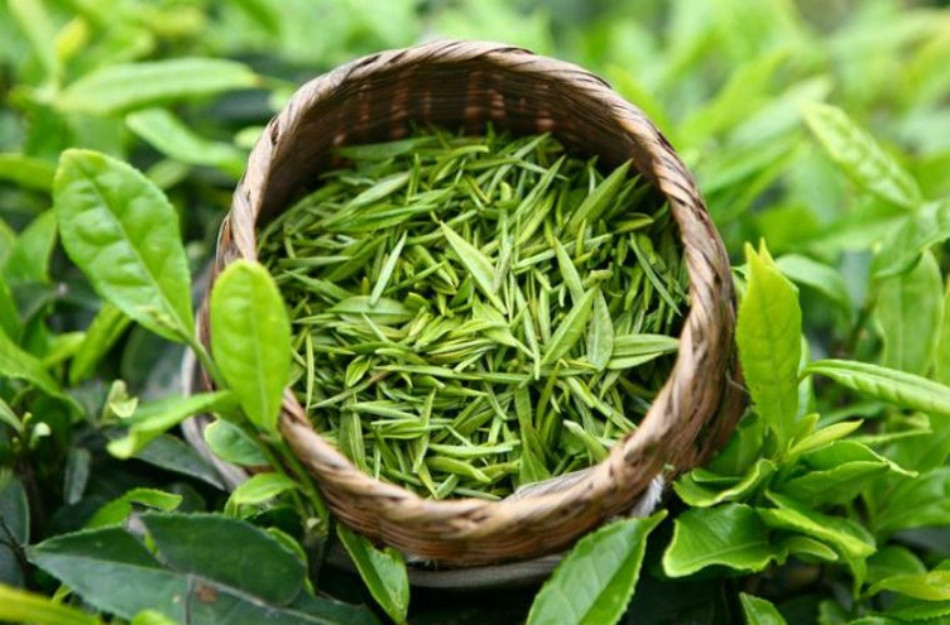 Khám phá 13 cách dưỡng ẩm cho tóc mềm mượt, không bị khô xơ