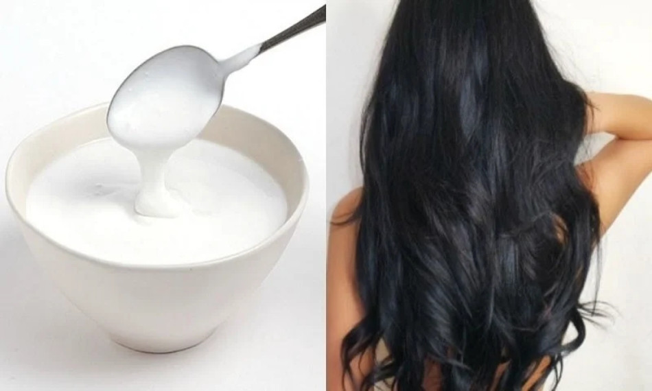 Khôi phục tóc khô xơ hiệu quả với 10+ cách đơn giản