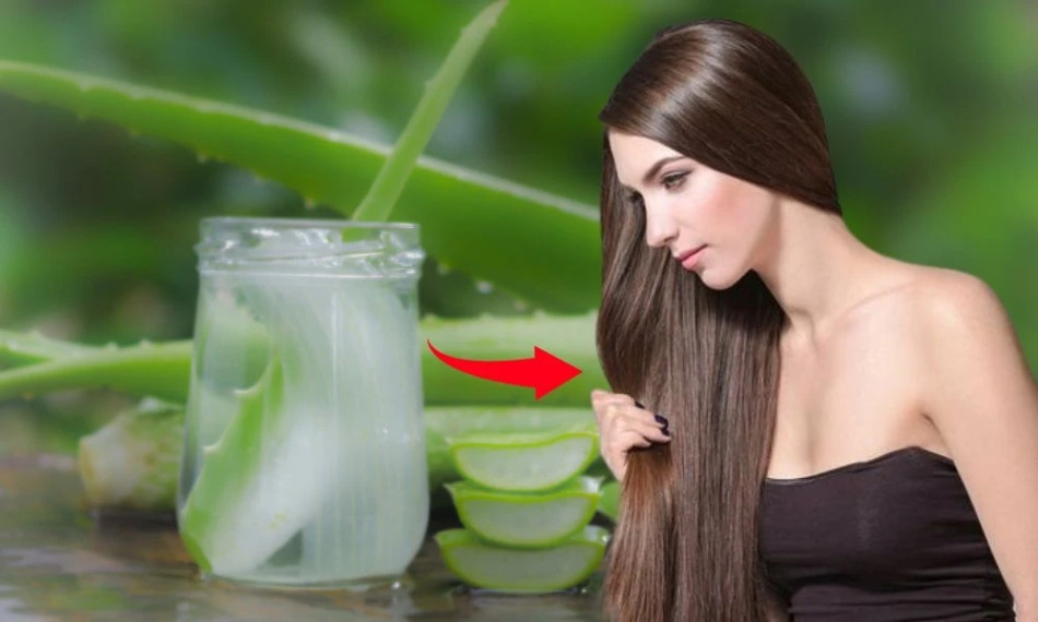 Khôi phục tóc khô xơ hiệu quả với 10+ cách đơn giản