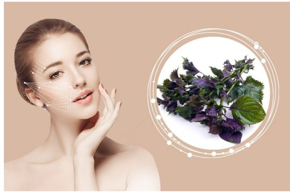 Nám chân đinh có chữa được không? Cách điều trị hiệu quả