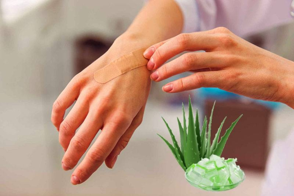 Nha Đam &#8211; Siêu Phẩm Làn Da Mặt Bạn Không Thể Bỏ Qua