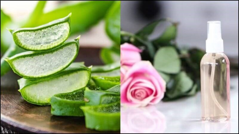 Nha Đam &#8211; Siêu Phẩm Làn Da Mặt Bạn Không Thể Bỏ Qua